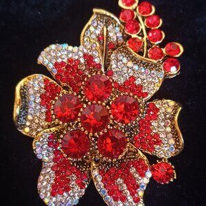 Gorgeous Red Brooch/Pendant !